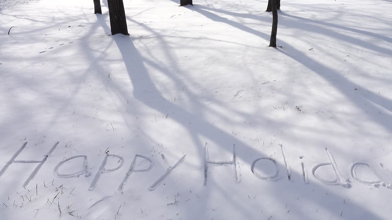 Iscrizione di buone feste sulla neve. Riprese in inverno