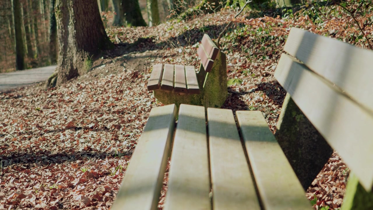 A bench in the park