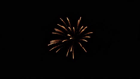 start-of-a-fireworks-show-as-a-white-whistling-aerial-darts-into-the-night-sky,-signaling-the-start-of-a-wonderful-show-for-the-July-4th-celebration