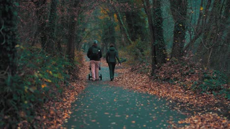 couple walking with a pram down a tarmac forest path