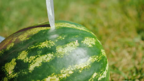 칼 절단 수박