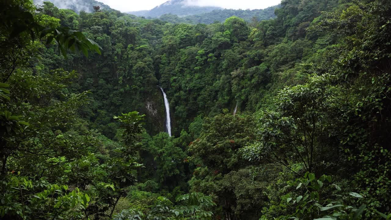 Cascata La Fortuna in una lussureggiante foresta pluviale tropicale. Provincia di Alajuela, Costa Rica
