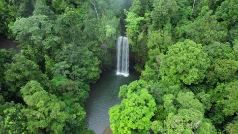 drone shot over millaa millaa falls surrounded by lush rainforest located on the waterfalls circuit, tablelands, queensland australia