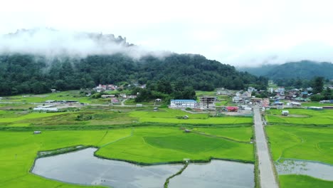 vista aérea de un campo de arroz en arunachal pradesh