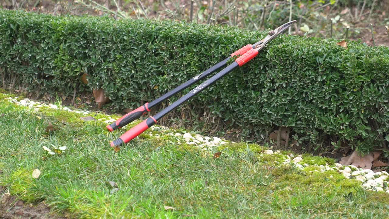 Hedge Clippers Resting On A Green Hedge