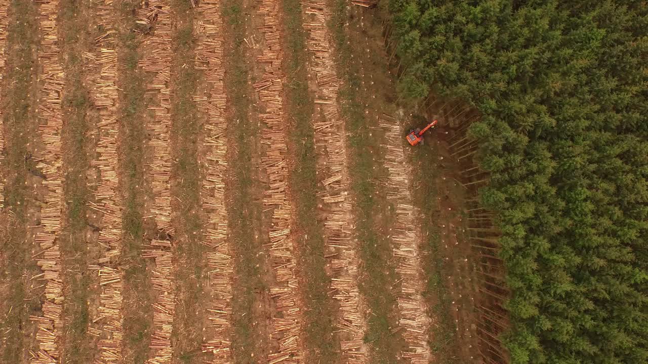 대형 산업 기계, 선박 및 트럭을 사용하여 스코틀랜드의 고지대에서 이루어지는 임업 및 벌목 작업