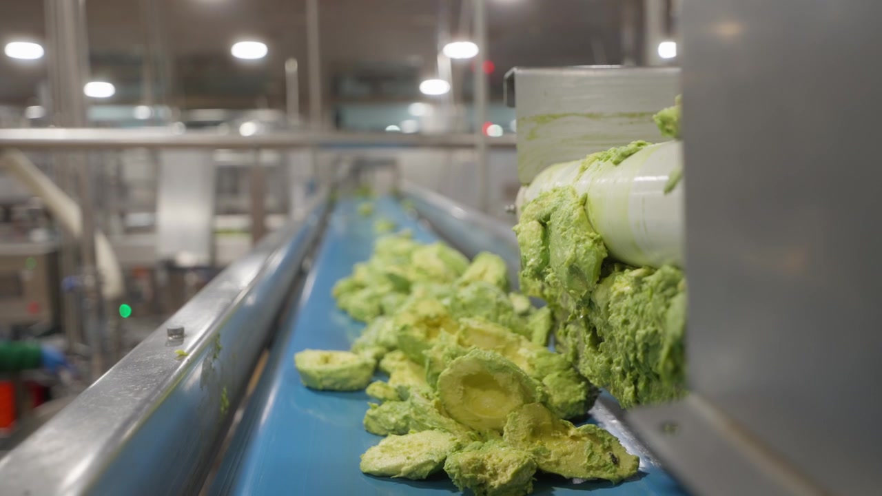 Processed avocado mixture moving through industrial conveyor system in factory setting