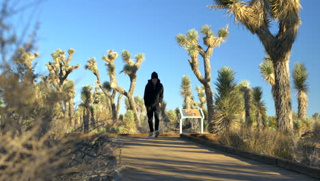 un joven excursionista con una mochila y un gorro caminando por una reserva natural del desierto con árboles de joshua en lancaster, california