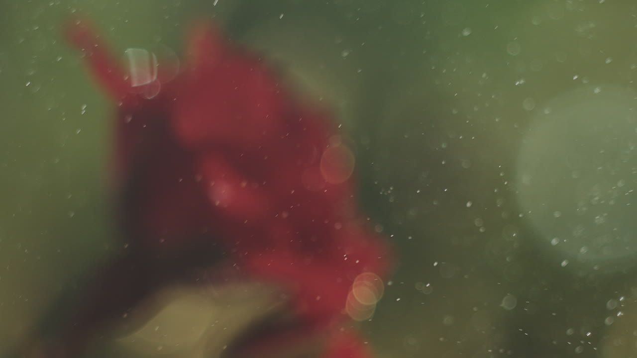 Blurred Red Figure