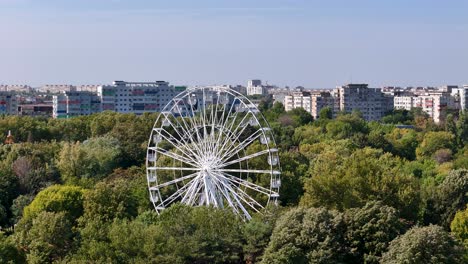 ferris wheel in a city park