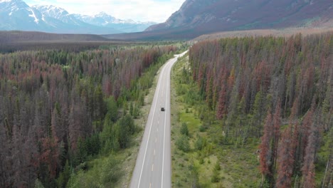 wide shot aerial drone footage tracking a black 4x4 cruising on an empty road surrounded by a beautiful large forest and mountains