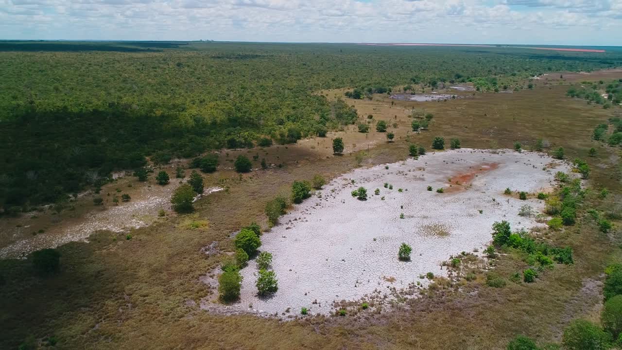 Un drone rivela la complessità idrologica del Cerrado, una vasta rete di bacini asciutti con pozze d'acqua freatica perenni tra canali alluvionali paleo esposti e una fitta vegetazione di savana, Goias, Brasile