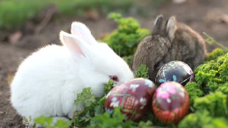 brown easter bunny eating a dandelion, sitting near easter eggs, green grass
