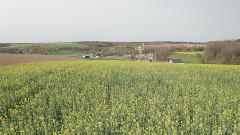 Aerial-drone-point-of-view-of-rapeseed-fields-near-to-Avon-les-Roches-in-the-Loire-Valley,-France