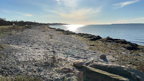 empty beach near calm ocean