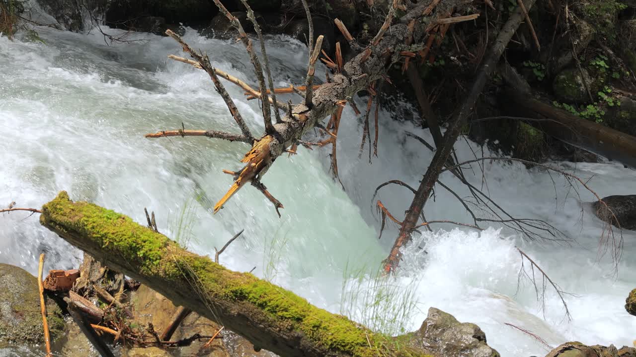 Bjergflod i skoven i slowmotion. Smukt naturlandskab.