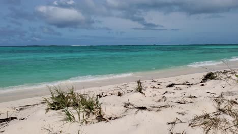 beach scene lonely caribbean paradise, wind blows and moves grass and waves, pan right