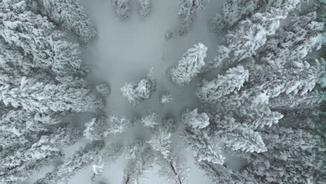 Cinematic-aerial-Colorado-winter-wonderland-spring-deep-powder-snow-covered-pine-trees-Loveland-Ski-Resort-Eisenhower-Tunnel-Coon-Hill-backcountry-i70-Continential-Divide-Rocky-Mountains-circle