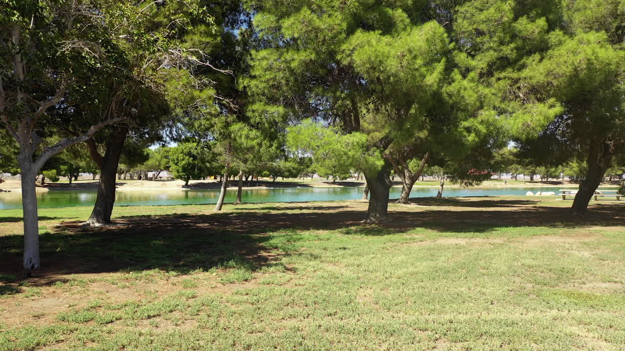 aéreo, volando a través del parque cubierto de hierba hacia árboles verdes y el lago en el soleado día de otoño