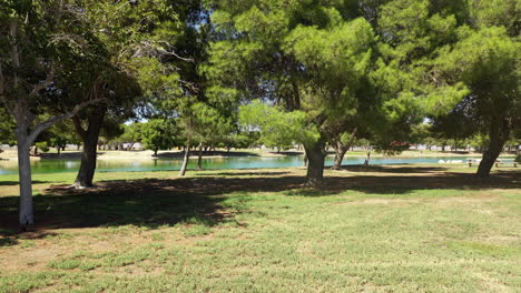 aerial, flying through grassy park toward green trees and lake on sunny fall day