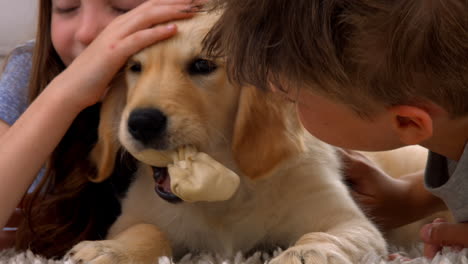 Happy-siblings-with-their-puppy-at-home