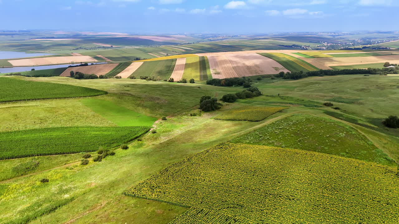 Rolling hills, green fields. Expansive green fields stretch across the countryside under a bright blue sky, showcasing seasonal changes in crops