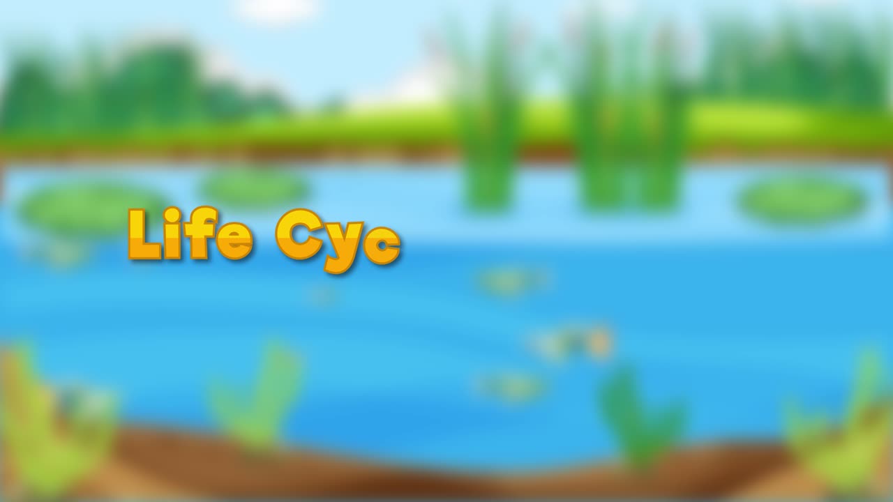 representación educativa de las etapas de crecimiento del guppy.