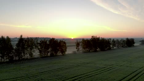 Latvia-Landscape-of-Flat-Farming-Lands---Agricultural-Crops-with-Sunset-on-Horizon---Rising-Aerial-Drone-View