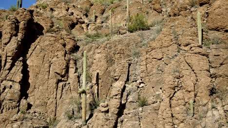 fotografía de un avión no tripulado que muestra grandes cactus saguaro creciendo a lo largo de la cresta de una montaña