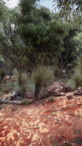 a picturesque view of a red dirt landscape with trees, bushes and grass