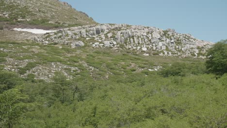 Vista-General-De-Un-Bosque-Nativo-Con-Cantos-Rodados-De-Granito