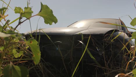 Zerstörtes-Auto-An-Einem-Verlorenen-Ort