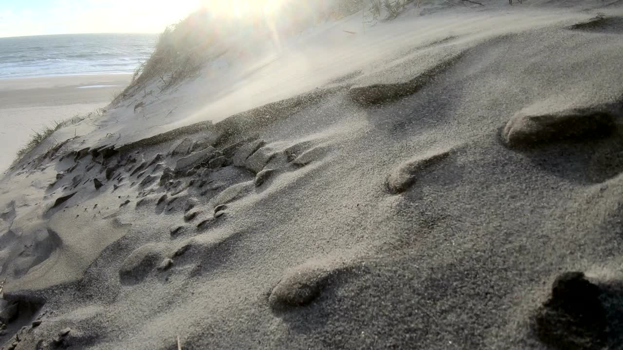 Sand dunes with dune grass in the storm of the North Sea, hiking dunes, dike protection, Sondervig, Jutland, Denmark, 4k