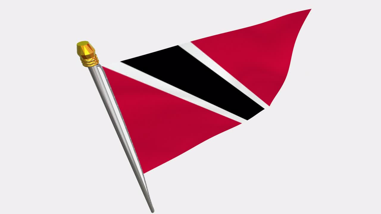 트리니다드 토바고의 발이 바람에 날아다니는 4k 슬로모션 비디오, 알파 채널