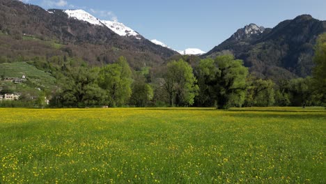 slider shot of beautiful green meadow in front of snowy weesen mountain, st