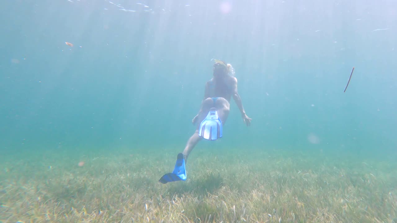 Fritdykkerkvinde dykker under vandet i havet med søgræs, grønne planter