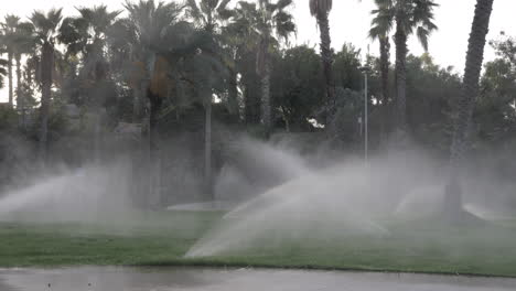 Bewässerungssprinkler-Arbeiten-Auf-Einem-Grünen-Rasen-Mit-Palmen-Dahinter