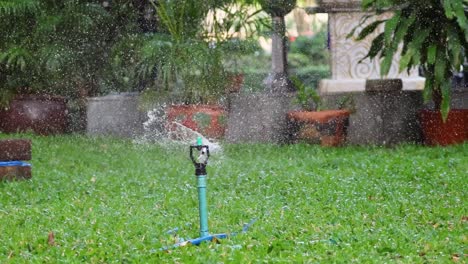 sprinkler rotates and waters green garden