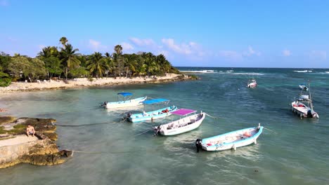 Costa-De-Akumal-Con-El-Fondo-De-Algunas-Hermosas-Palmeras-En-Un-Día-Soleado