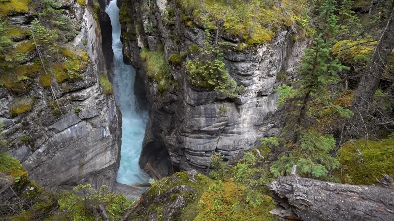 cañón cubierto de musgo con cascada