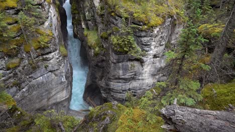 Mossy-Overgrown-Canyon-With-Waterfall