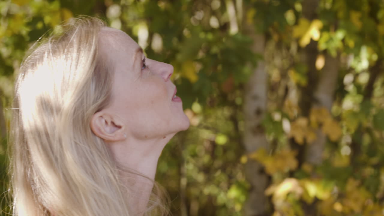 Woman looking up at trees
