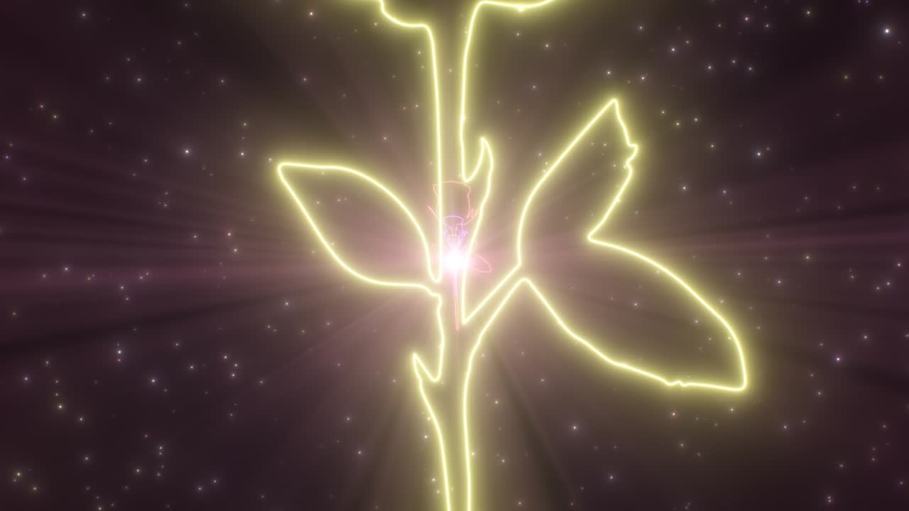 아름다운 장미 꽃 로맨틱 발렌타인 데이 네온 조명 터널 - 4k 원활한 vj 루프 모션 배경 애니메이션