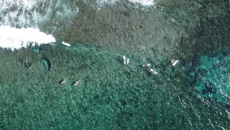 bird's eye shot of surfers and swimmers teaching beginners to surf in siargao island