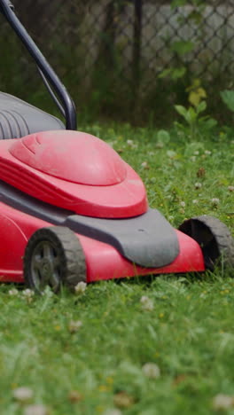 electric lawn mower cuts the grass. woman mowing lawn. vertical video