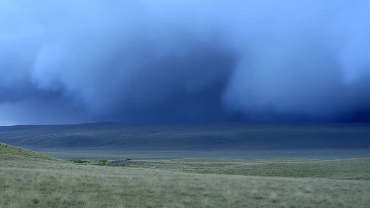 Forming low shelf cloud over open grassland as gust front advances, producing dark rain curtain