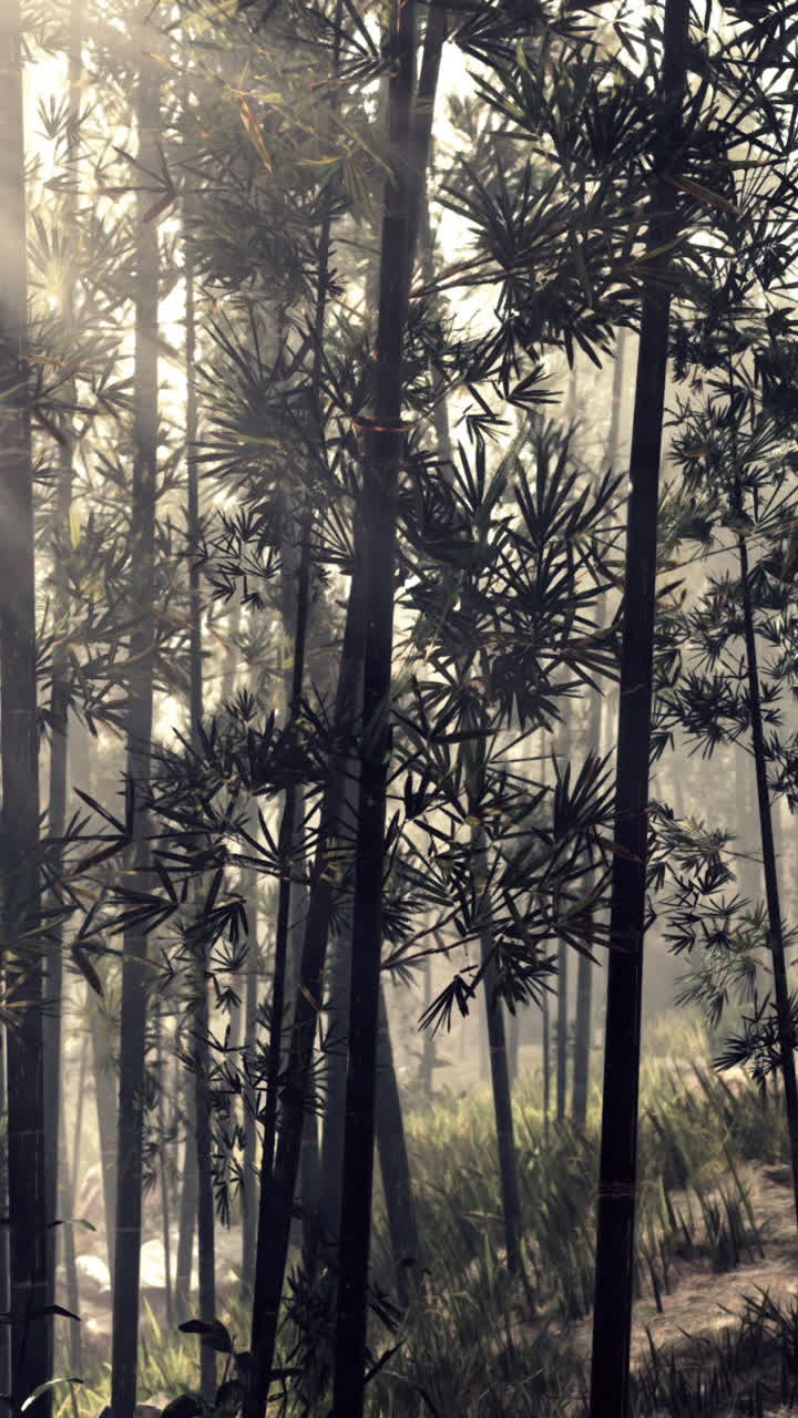tranquilo bosque de bambú