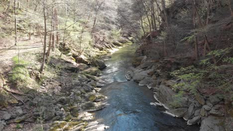 Establecimiento-De-Drones-Primavera-Río-Volar-En-Drone-Disparo-Del-Río-Conestoga-Desde-El-Agujero-De-Susies-Pequeña-Pa-Usa-Indios-De-Primavera-Pequeña-Condado-De-Lancaster-Ambiente-Amish-Bosque-Al-Aire-Libre-Ecología