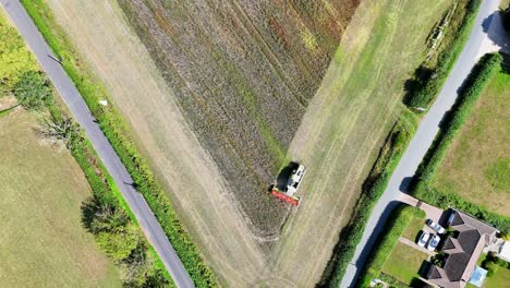 cinematic birds-eye aerial of a combine harvester working farmland. modern agriculture, contractors and farmers harvesting grain crops with efficiency from above