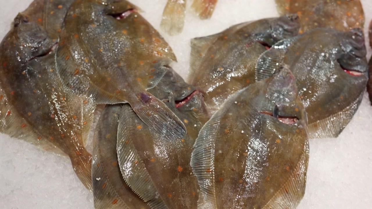 Freshly caught flatfish displaying on a bed of ice, ready for sale at a seafood market or fishmonger stall
